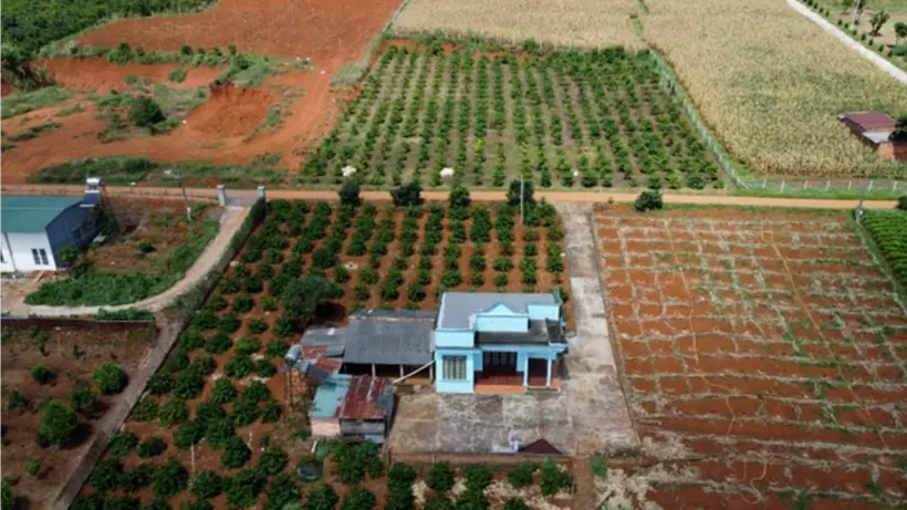 Đề xuất nghiên cứu giảm tiền sử dụng đất vườn